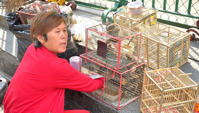 Quay vòng chim phóng sinh đến... chết mới thôi - ảnh 3