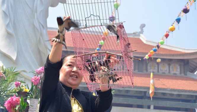 Quay vòng chim phóng sinh đến... chết mới thôi - ảnh 5
