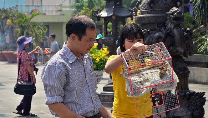Quay vòng chim phóng sinh đến... chết mới thôi - ảnh 6
