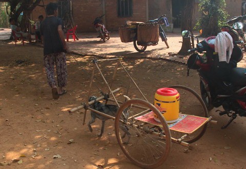 Cụ bà 80 tuổi luyện chó đi giao hàng ở Tây Ninh - ảnh 4