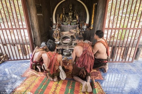 Bên trong ngôi làng thuần hóa voi cuối cùng ở Thái Lan - ảnh 3