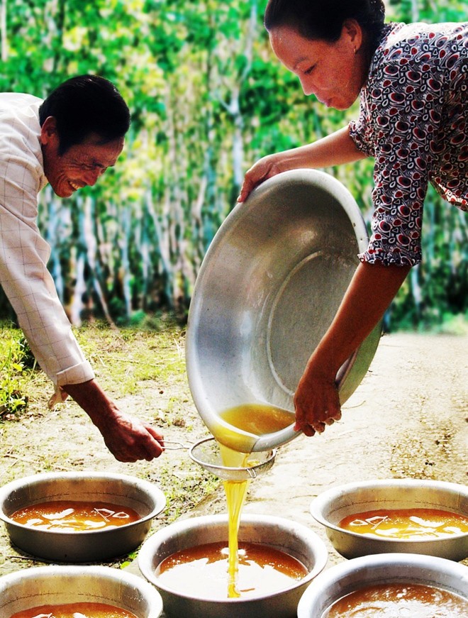 Đề nghị xử lý thông tin sai lệch về mật ong Cà Mau - ảnh 1