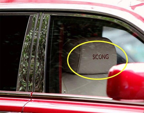 Bộ sưu tập xe sang của con trai tỷ phú giàu nhất Trung Quốc - ảnh 6