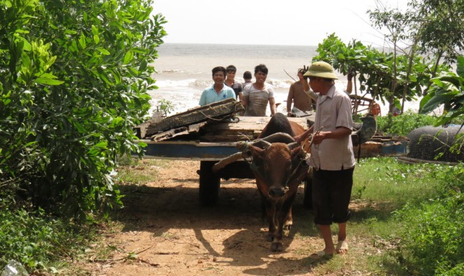 Xót xa xã biển Cảnh Dương sau mưa lũ - ảnh 5
