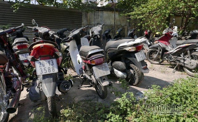 SH, Spacy trùm cỏ, phủ bụi trong bãi xe vi phạm - ảnh 12