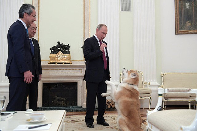 Tổng thống Nga Putin kể 'chuyện tình' với Judo - ảnh 2