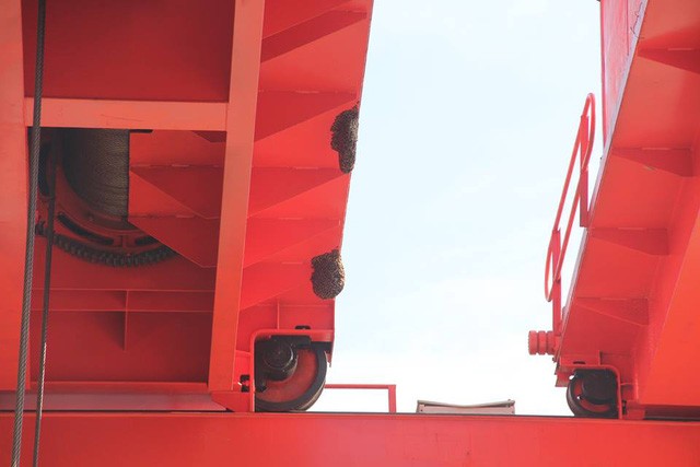 Nghệ An: Kỳ lạ 11 đàn ong xây tổ trên cẩu trục thủy điện - ảnh 1