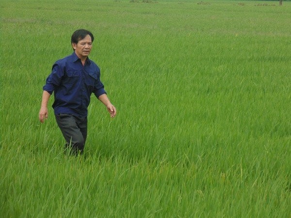 nghệ sĩ quang tèo - ảnh 3