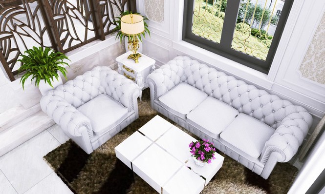 Biệt thự cổ điển Châu Âu 100m2 nhiều người mơ ước - ảnh 6