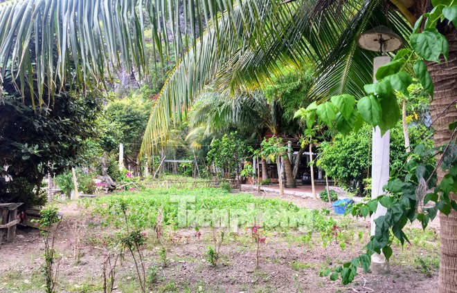 Cận cảnh resort trái phép trên vịnh Bái Tử Long - ảnh 4