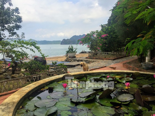 Cận cảnh resort trái phép trên vịnh Bái Tử Long - ảnh 7