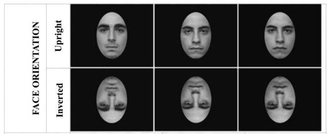 Ngã ngửa với nhưng thí nghiệm 'ngốc nghếch' vừa đạt giải IG Nobel 2017 - ảnh 7