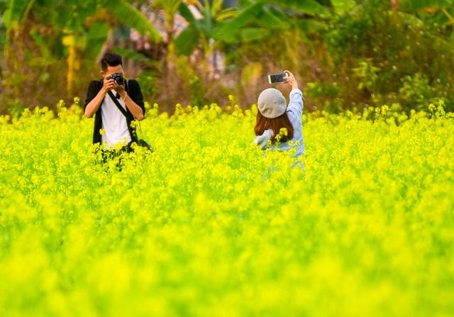 Những địa điểm chụp hoa cải đẹp tại Hà Nội giới trẻ phải biết - ảnh 6