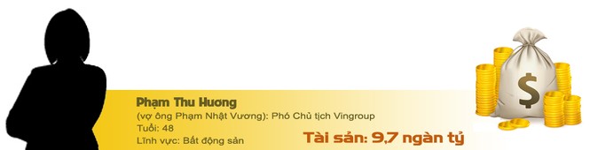 Ngày cuối năm Top 10 tỷ phú Việt cùng đếm túi tiền tỷ USD - ảnh 7