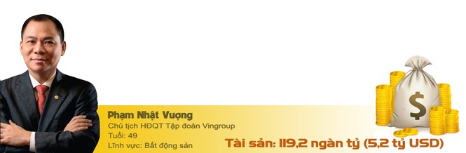 Ngày cuối năm Top 10 tỷ phú Việt cùng đếm túi tiền tỷ USD - ảnh 2