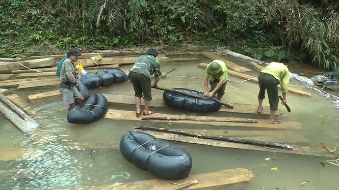 Xem xét kỷ luật tập thể, cá nhân liên quan vụ gỗ lậu 'khủng' - ảnh 3