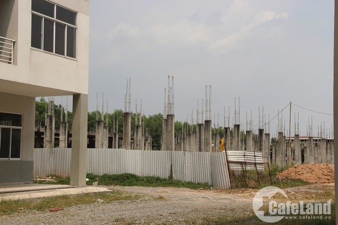 Xót lòng nhà tiền tỷ nằm phơi sương ở Bình Dương - ảnh 8