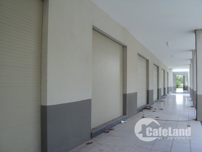 Xót lòng nhà tiền tỷ nằm phơi sương ở Bình Dương - ảnh 3