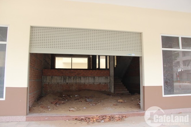 Xót lòng nhà tiền tỷ nằm phơi sương ở Bình Dương - ảnh 4