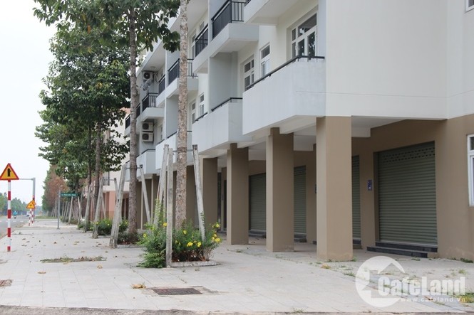 Xót lòng nhà tiền tỷ nằm phơi sương ở Bình Dương - ảnh 6