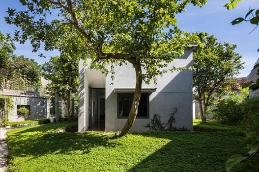 Ngôi nhà độc đáo 'nuốt' trọn 5 cây gỗ quý ở Nghệ An lên báo Tây - ảnh 3