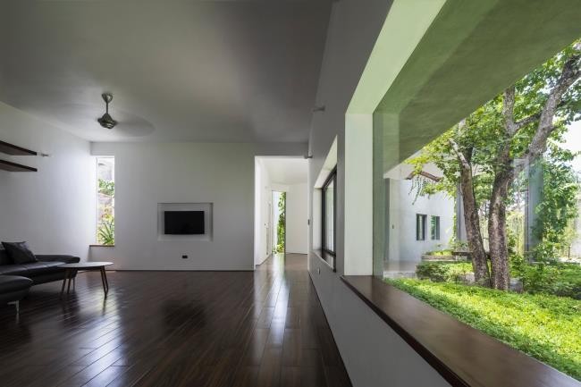 Ngôi nhà độc đáo 'nuốt' trọn 5 cây gỗ quý ở Nghệ An lên báo Tây - ảnh 5