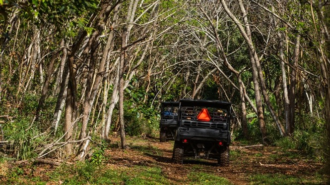 Bên trong khối bất động sản bí ẩn ở Hawaii của CEO Facebook - ảnh 6