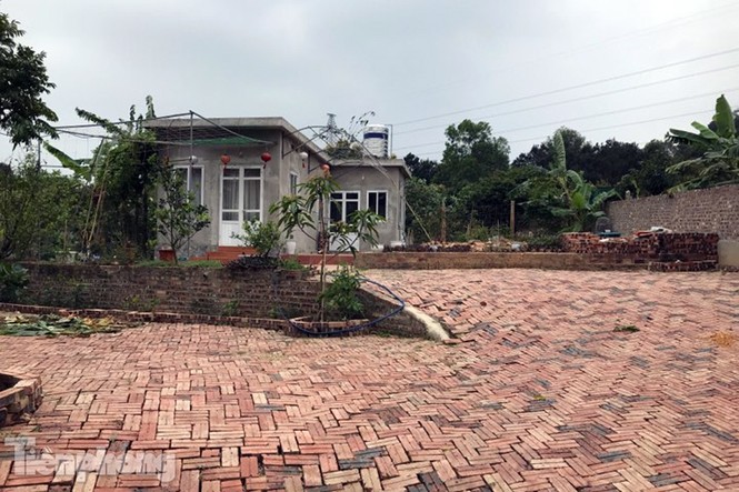  Biệt thự 'xẻ thịt' rừng Sóc Sơn vẫn bất động sau kết luận thanh tra - ảnh 15