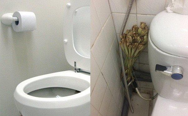 Mẹo đơn giản giúp nhà vệ sinh thơm nức không phải ai cũng biết - ảnh 3