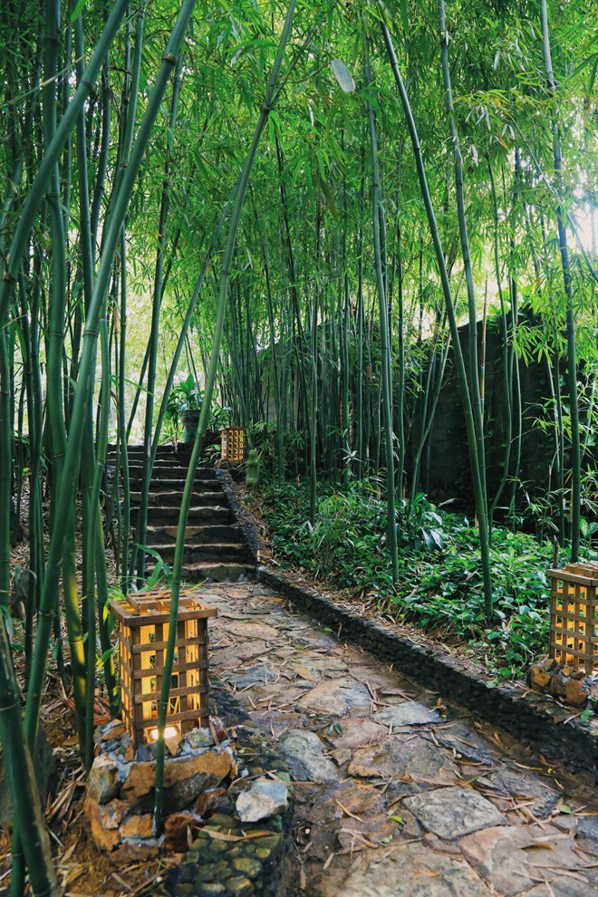 Mê mẩn khu nhà trên núi có ao đầy cá, vườn trĩu quả - ảnh 2