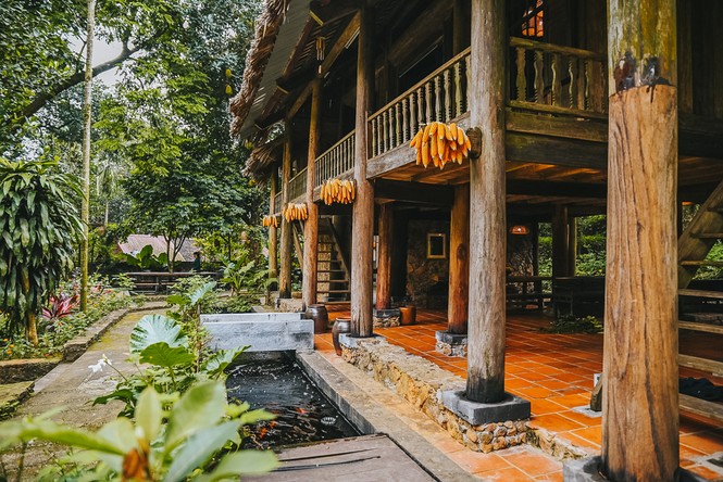 Mê mẩn khu nhà trên núi có ao đầy cá, vườn trĩu quả - ảnh 4