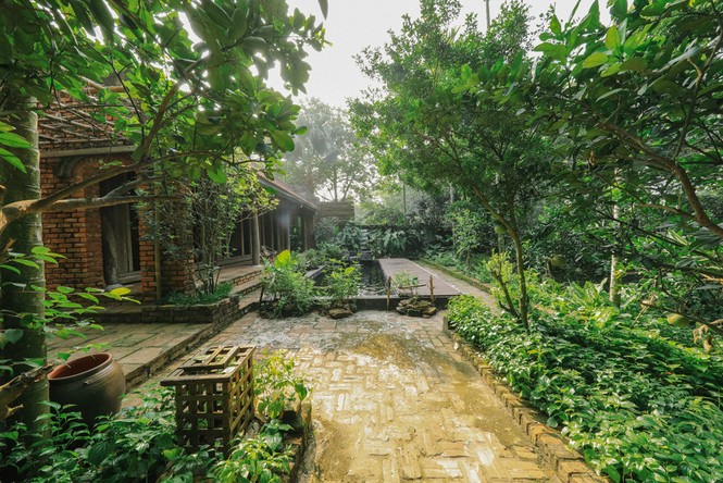 Mê mẩn khu nhà trên núi có ao đầy cá, vườn trĩu quả - ảnh 8