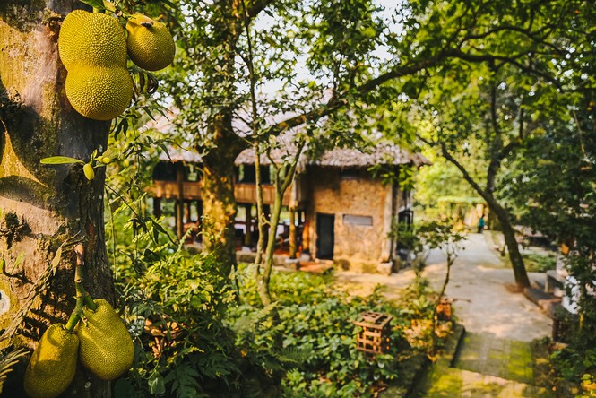 Mê mẩn khu nhà trên núi có ao đầy cá, vườn trĩu quả - ảnh 18