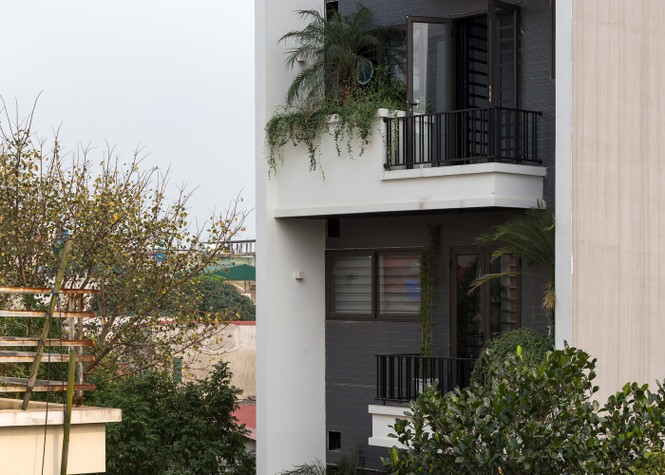 Ngôi nhà và phố tuyệt hảo với thiết lập trước mặt phủ kín cây xanh 16 Ngôi nhà phố ấn tượng với thiết kế mặt tiền phủ kín cây xanh - ảnh 4