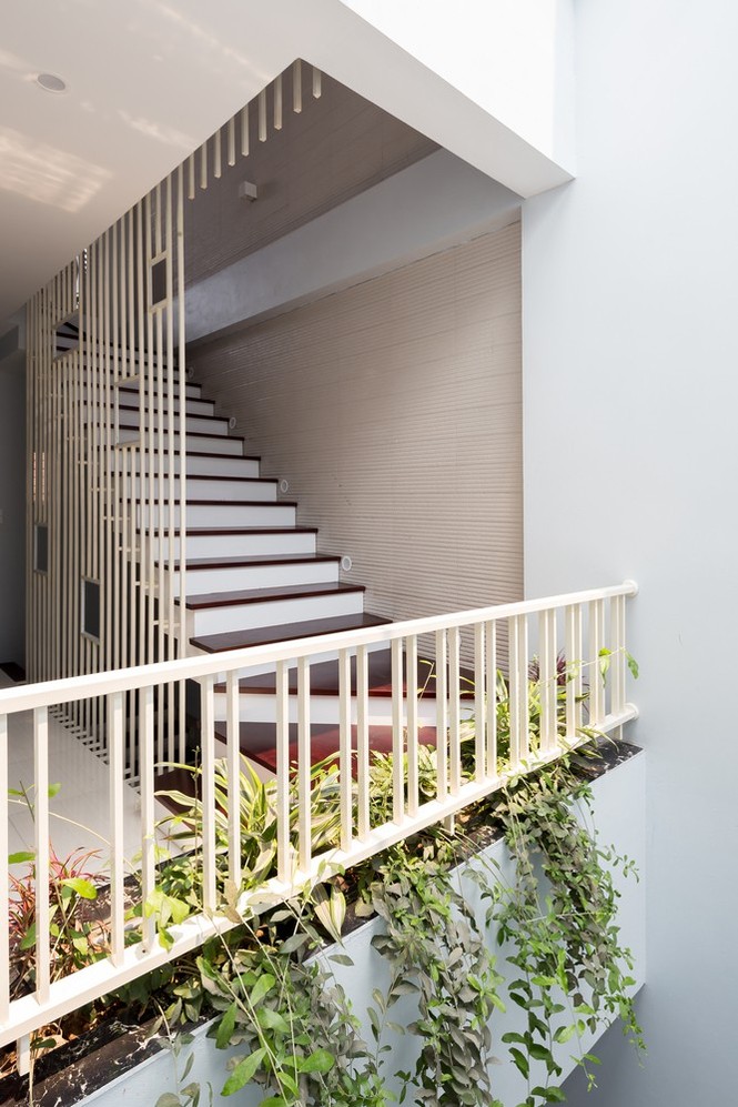 Ngôi nhà và phố tuyệt hảo với thiết lập trước mặt phủ kín cây xanh 19 Ngôi nhà phố ấn tượng với thiết kế mặt tiền phủ kín cây xanh - ảnh 7