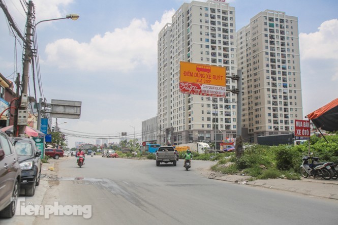 Lo ngại ô 'đất vàng' cuối cùng thành cao ốc, thu hồi siêu dự án triệu đô lấn vịnh - ảnh 5