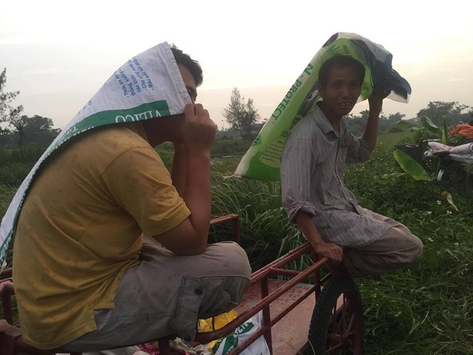 Người dân Nam Định dầm mưa gặt lúa chạy bão - ảnh 5