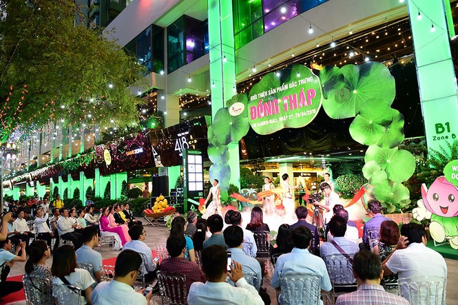 Khám phá không gian văn hóa Đồng Tháp tại TP.HCM - ảnh 7