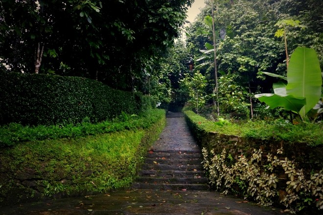 Về ngõ đá Lộc Yên thăm nhà cổ 200 tuổi - ảnh 12