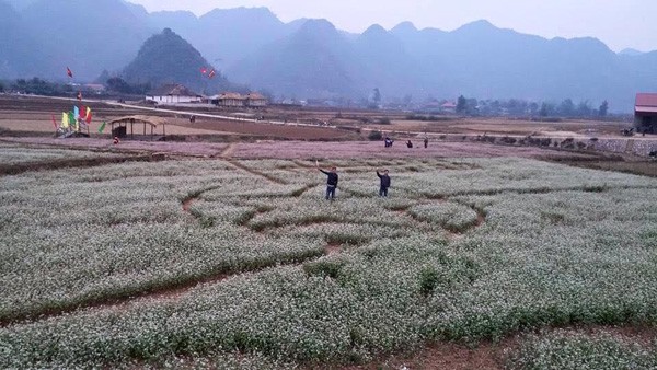 Bôi mặt dự lễ Ná Nhèm của người Tày - ảnh 3