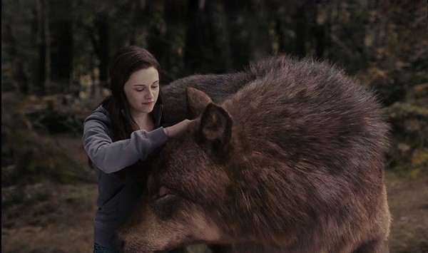 Những hình ảnh hậu trường khiến fan Hollywood ‘vỡ mộng’ - ảnh 10