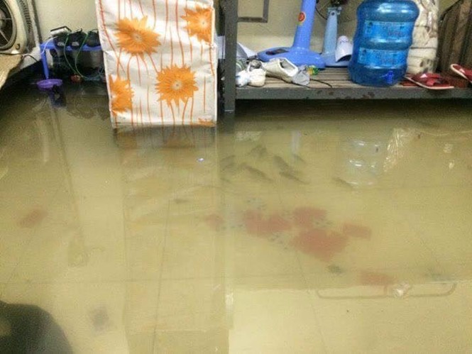 Cám cảnh sinh viên bì bõm lên trường tránh lụt - ảnh 2