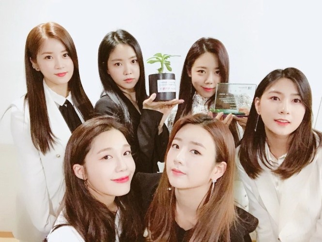 Fans tranh cãi vì gương mặt lệch vẹo của thần tượng nhóm Apink - ảnh 3