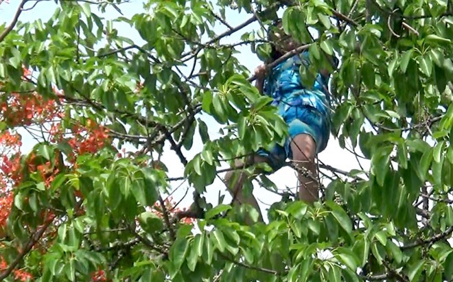 Phát hiện thi thể chủ bị chó cưng ăn thịt tại nhà riêng - ảnh 1