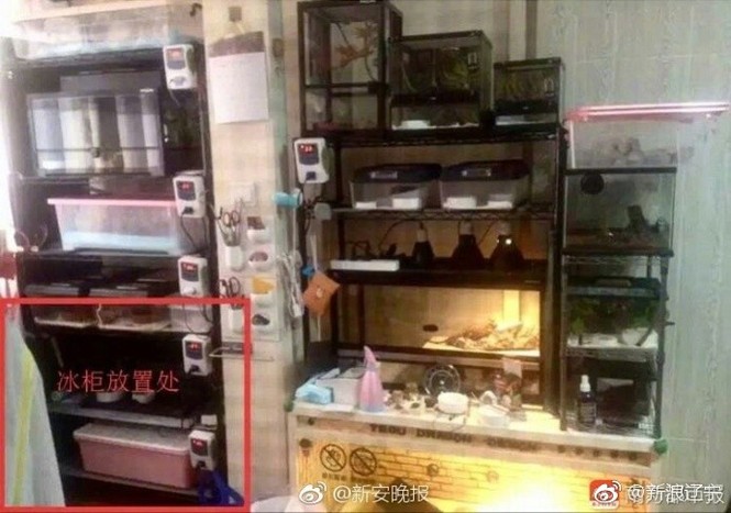 Vụ mẫu nữ TQ bị giết, giấu xác ở tủ lạnh: Chồng lĩnh án tử - ảnh 3