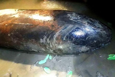 Bản tin 8H: Ô tô tăng ga bỏ chạy, quỵt 600 nghìn tiền đổ xăng - ảnh 1