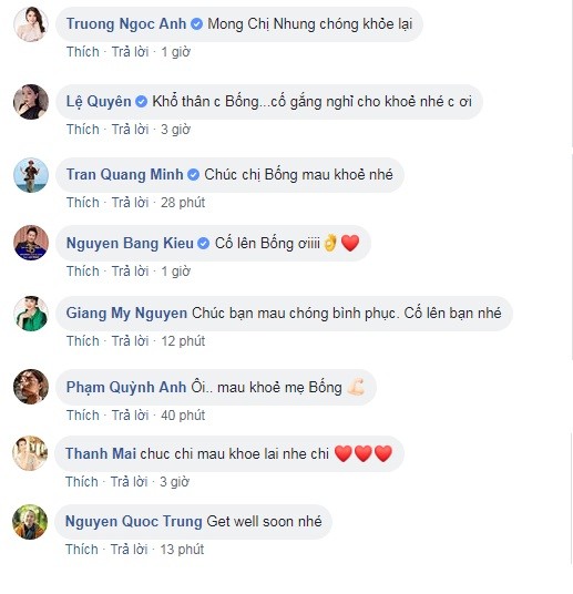 Ca sỹ Hồng Nhung nhập viện sau khi chồng cũ nói về tình mới - ảnh 4