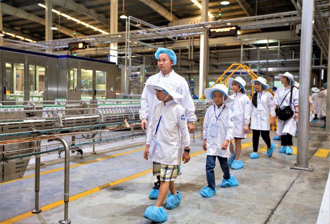 ‘Chuyện hậu trường’ của mỗi hộp sữa học đường - ảnh 6