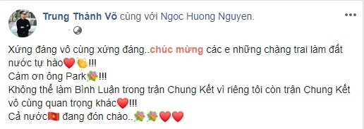 Phát 'sốt' với muôn kiểu ăn mừng Việt Nam vô địch bóng đá SEA Games của sao Việt - ảnh 2