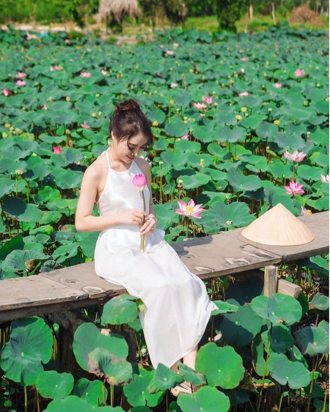 Kèn hồng và những mùa hoa rực rỡ ở TP.HCM - ảnh 16